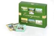AJ AHMAD TEA EVERGREEN 6x10ks sku elupack