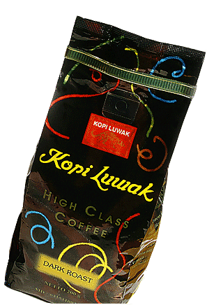 kopi luwak