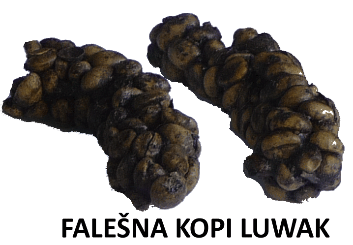 falesna surovina